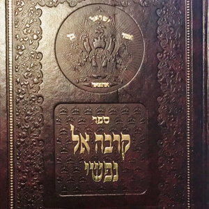 Ma’amar Hayeled: Igniting the Inner Child with Rav Shlomo Katz