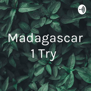 Madagascar 1 Try 