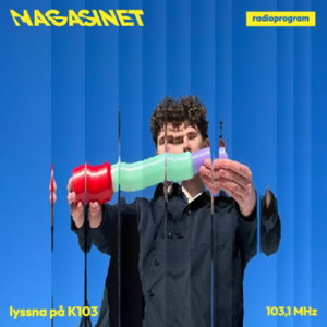 Magasinet