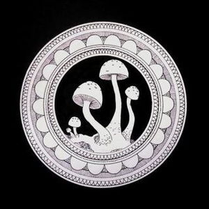Magic Mushroom