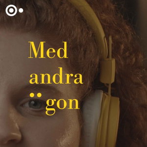 Med andra ögon