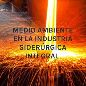 MEDIO AMBIENTE EN LA INDUSTRIA SIDERÚRGICA INTEGRAL 