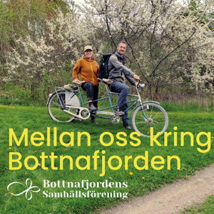 Mellan oss kring Bottnafjorden