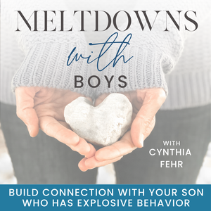 Meltdowns With Boys | Separation Anxiety, Aggression, Regulate Emotions, Defiant, Sensory Issues