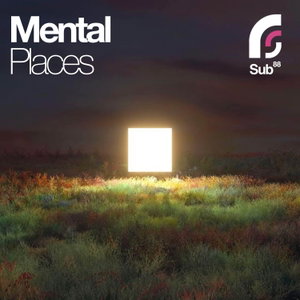 Mental Places - Ambient & Calm Music Mixes
