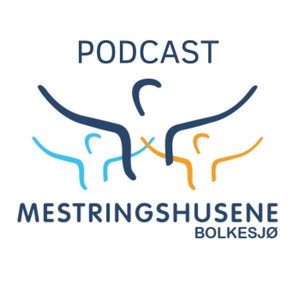 Mestringshusene AS
