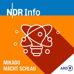 Mikado macht schlau - NDR Info Kinderradio