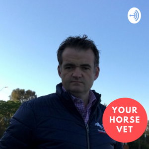 Mike Tweedie the Horse Vet