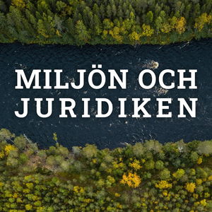 Miljön och Juridiken