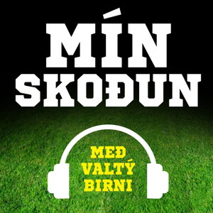 Mín skoðun