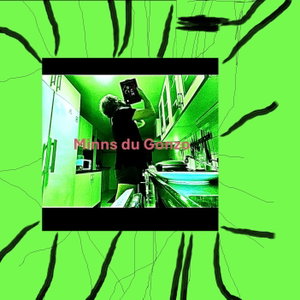 Minns du Gonzo