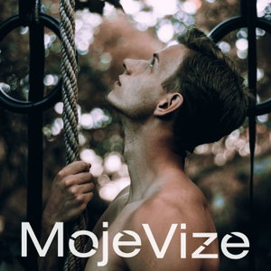 MojeVize