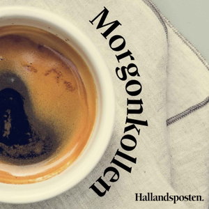 Morgonkollen