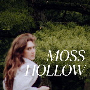 Moss Hollow