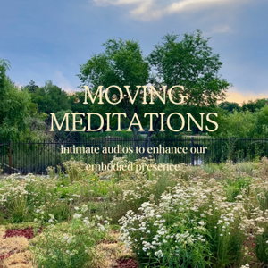 Moving Meditations
Embodied Presence with the Gene Keys