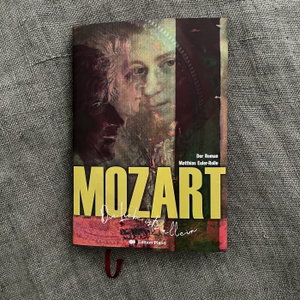 MOZART - Die Liebe ist´s allein