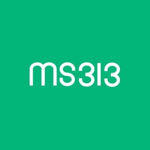 MS313