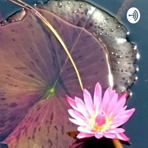 Musings & Meditations 