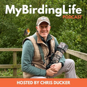 My Birding Life