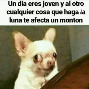 Nada