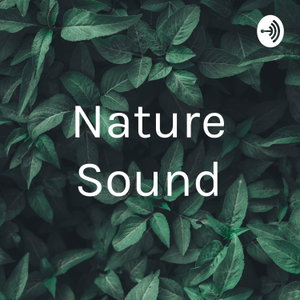 Nature Sound