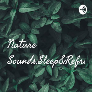 Nature Sounds