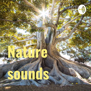 Nature sounds