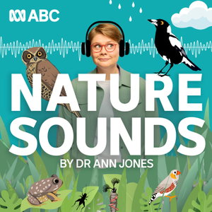 Nature Sounds