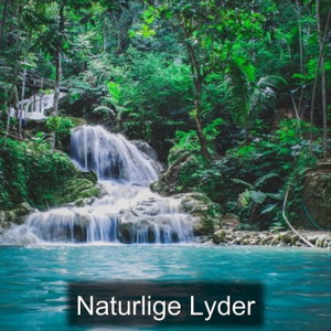 Naturlige Lyder