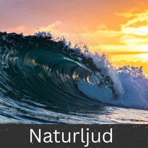 Naturljud (Nature Sounds)