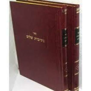 Netivot Shalom and other Chassidic Masters on the Parsha!
