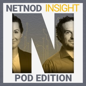 Netnod Insight