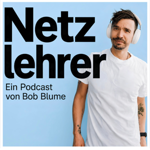 Netzlehrer