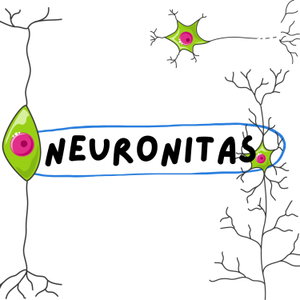 Neuronitas