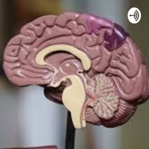 Neuropsicología y Educación 