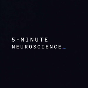 Neuroscience Daily: 5-minute briefing