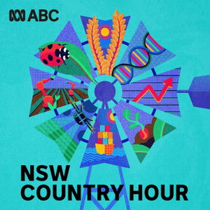 New South Wales Country Hour