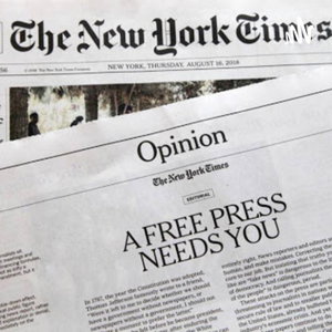 New York Times-learning about ethnic representation 