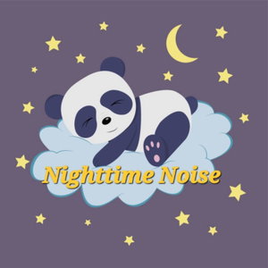 Nighttime Noise 
