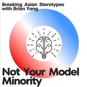Not the Model Minority 