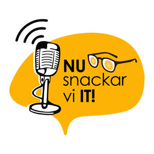 Nu snackar vi IT!