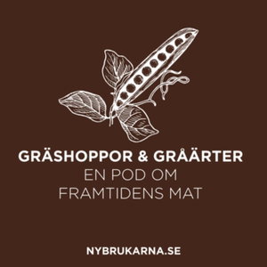 Nybrukarna
