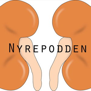 Nyrepodden