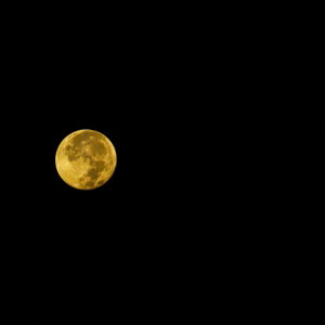 O My God !? What’s The Moon In!?