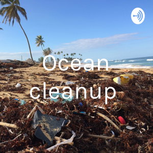 Ocean cleanup 