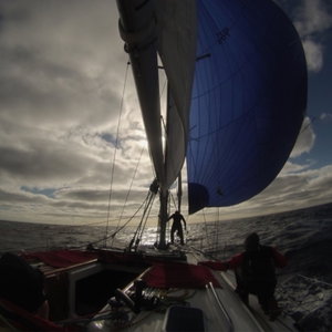 Offshore Sailing Today with COSS 