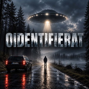 Oidentifierat