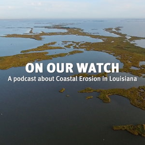 On Our Watch