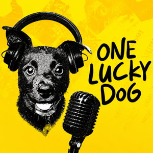One Lucky Dog