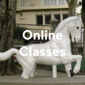 Online Classes